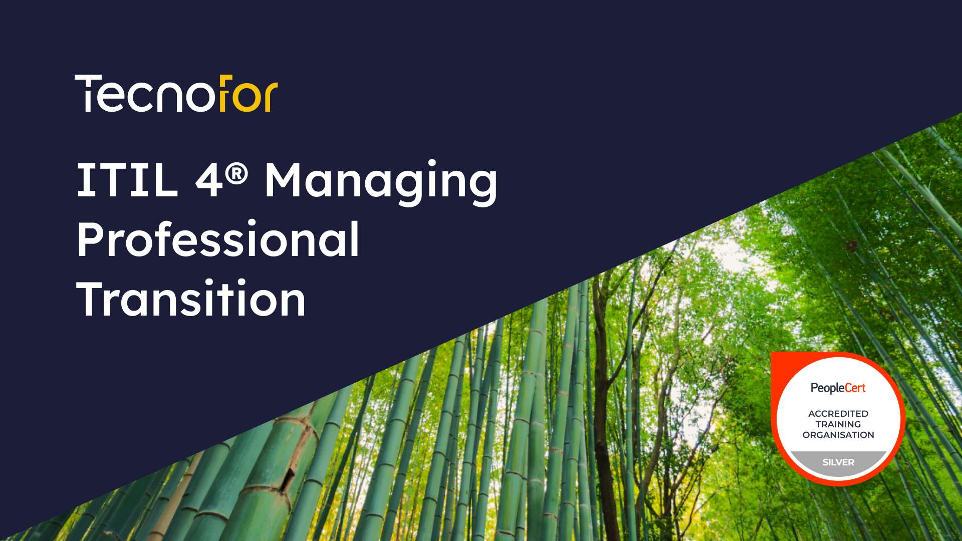 Itil® 4 Managing Professional Transition Course – VXNZ