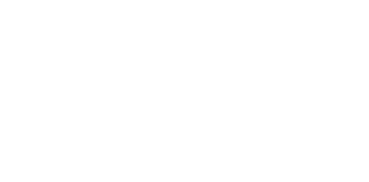 SingularSolving-Logo 1